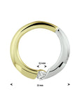 14K geelgoud hanger rondje zirkonia bicolor gestift 4020988 - PansiteNederland.nl