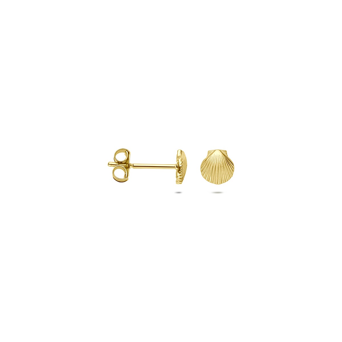 Oorbellen schelp 14K geelgoud