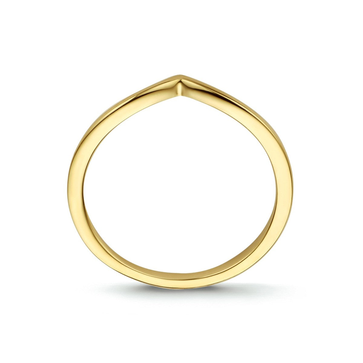 14K Geelgoud Ring 4023427 - PansiteNederland.nl