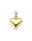 14K geelgoud hanger hartje 4023485 - PansiteNederland.nl