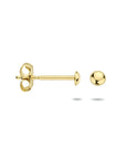 Witgouden oorknoppen - PSN4023635