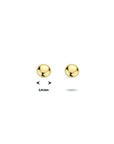 Witgouden oorknoppen - PSN4023635