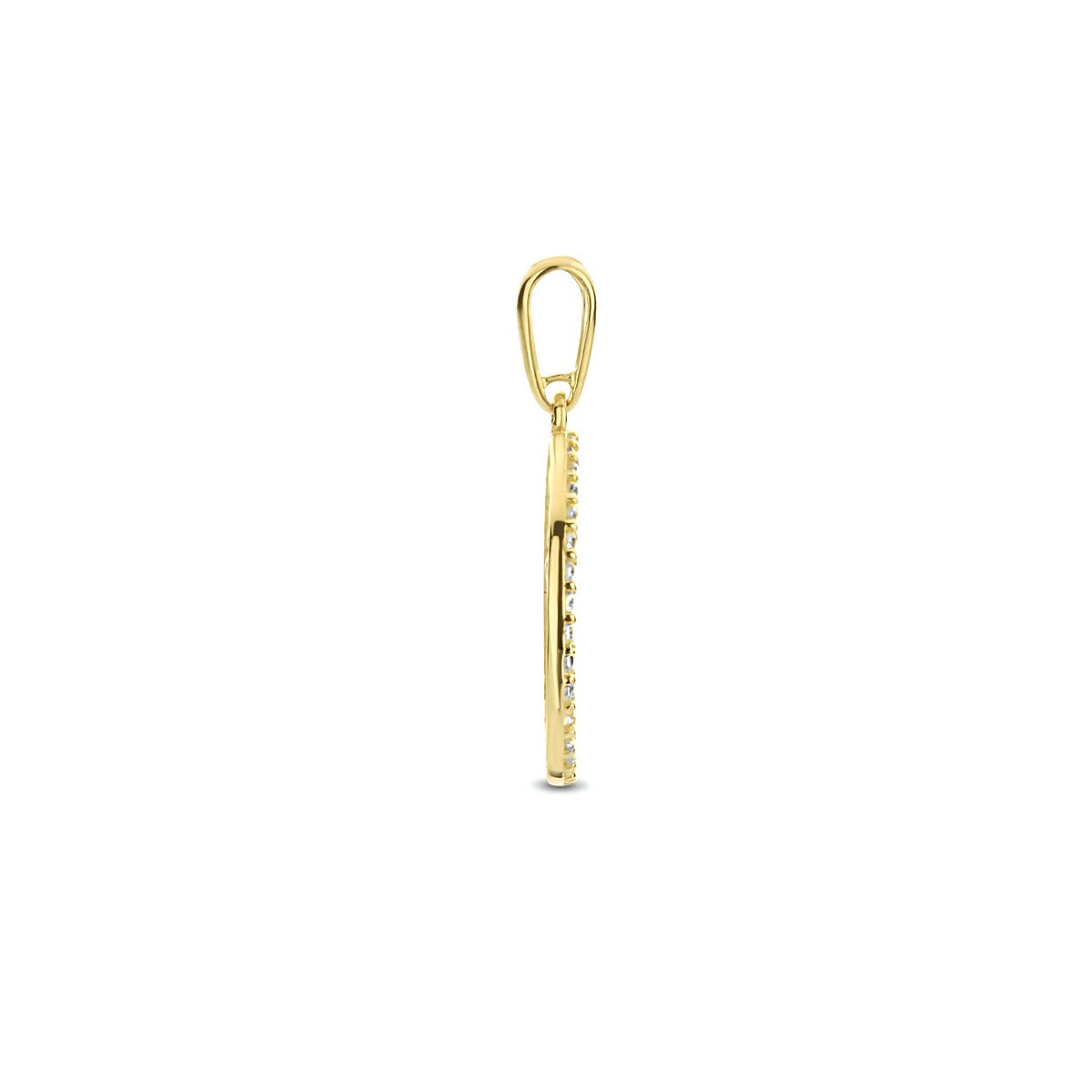 14K geelgoud hanger levensboom zirkonia 4023649 - PansiteNederland.nl