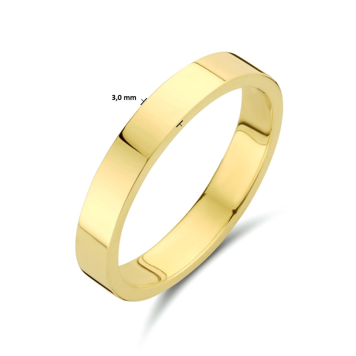 14K Geelgoud Relatiering 4023664 - PansiteNederland.nl