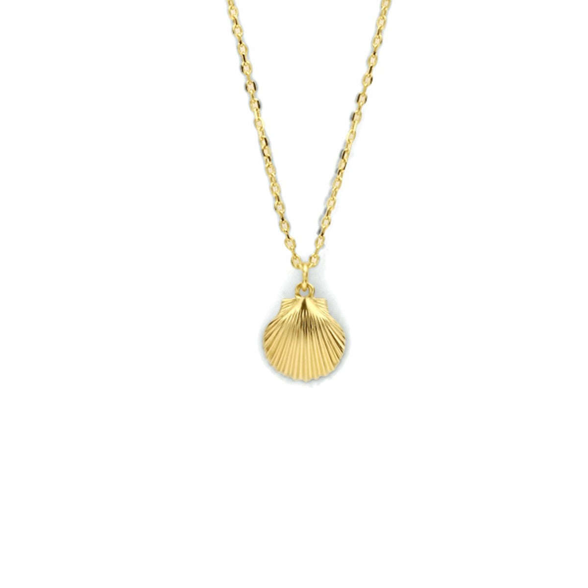 14K geelgoud collier schelp 40 - 42 - 44 cm 4023700 - PansiteNederland.nl