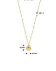 14K geelgoud collier schelp 40 - 42 - 44 cm 4023700 - PansiteNederland.nl