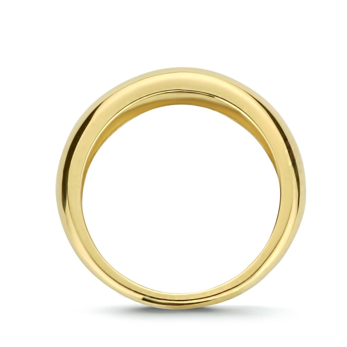 14K Geelgoud Ring 4023733 - PansiteNederland.nl