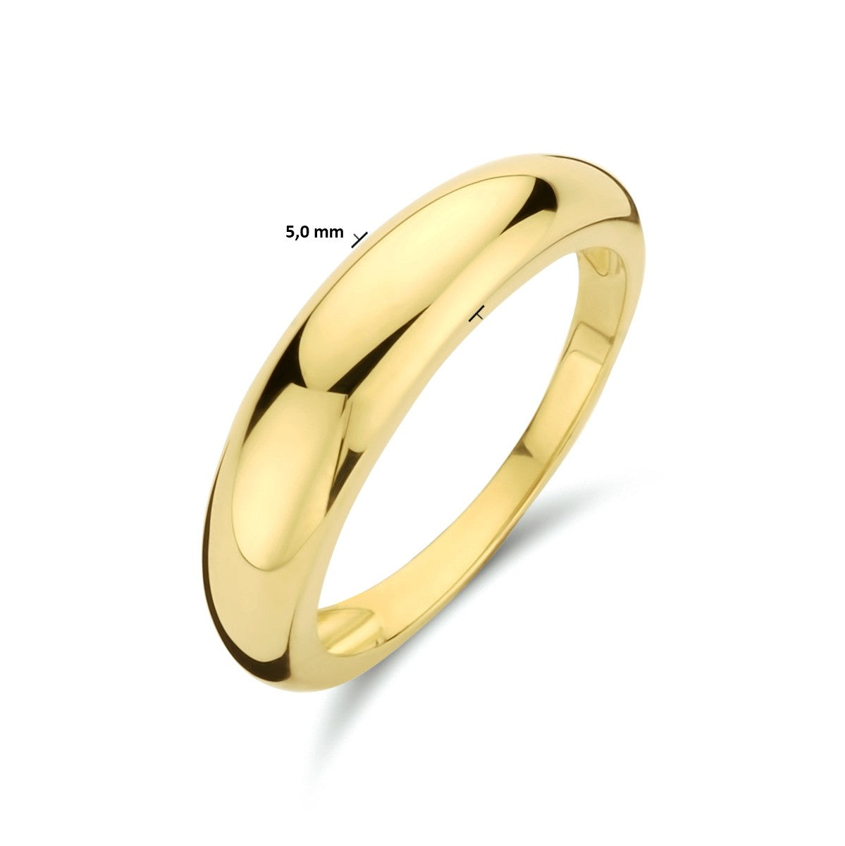 14K Geelgoud Ring 4023733 - PansiteNederland.nl
