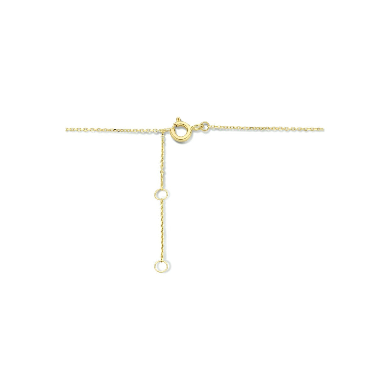 14K geelgoud collier sleutel 40 - 42 - 44 cm 4023827 - PansiteNederland.nl