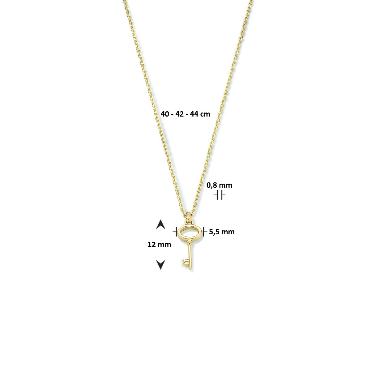 14K geelgoud collier sleutel 40 - 42 - 44 cm 4023827 - PansiteNederland.nl