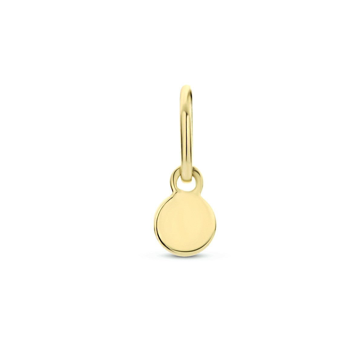 14K geelgoud hanger rond 4023837 - PansiteNederland.nl
