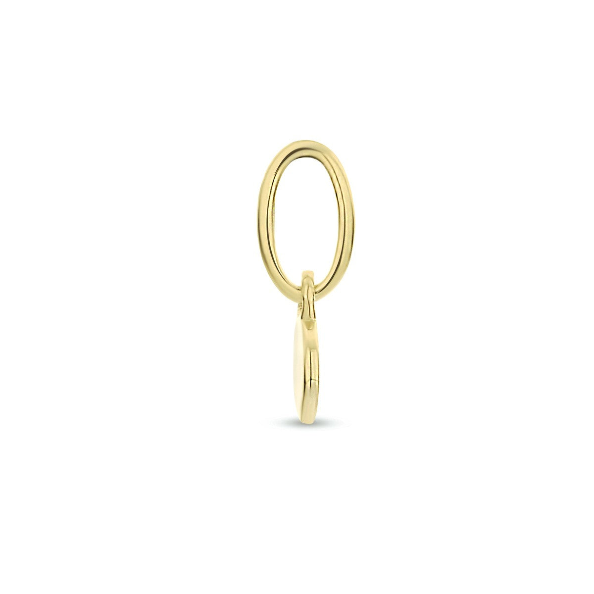 14K geelgoud hanger rond 4023837 - PansiteNederland.nl