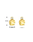 14K Geelgoud Oorknoppen Citrien En Diamant (2X 0.015Ct) H Si 4023849 - PansiteNederland.nl