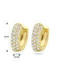 Gouden oorringen met zirkonia PSN4023877