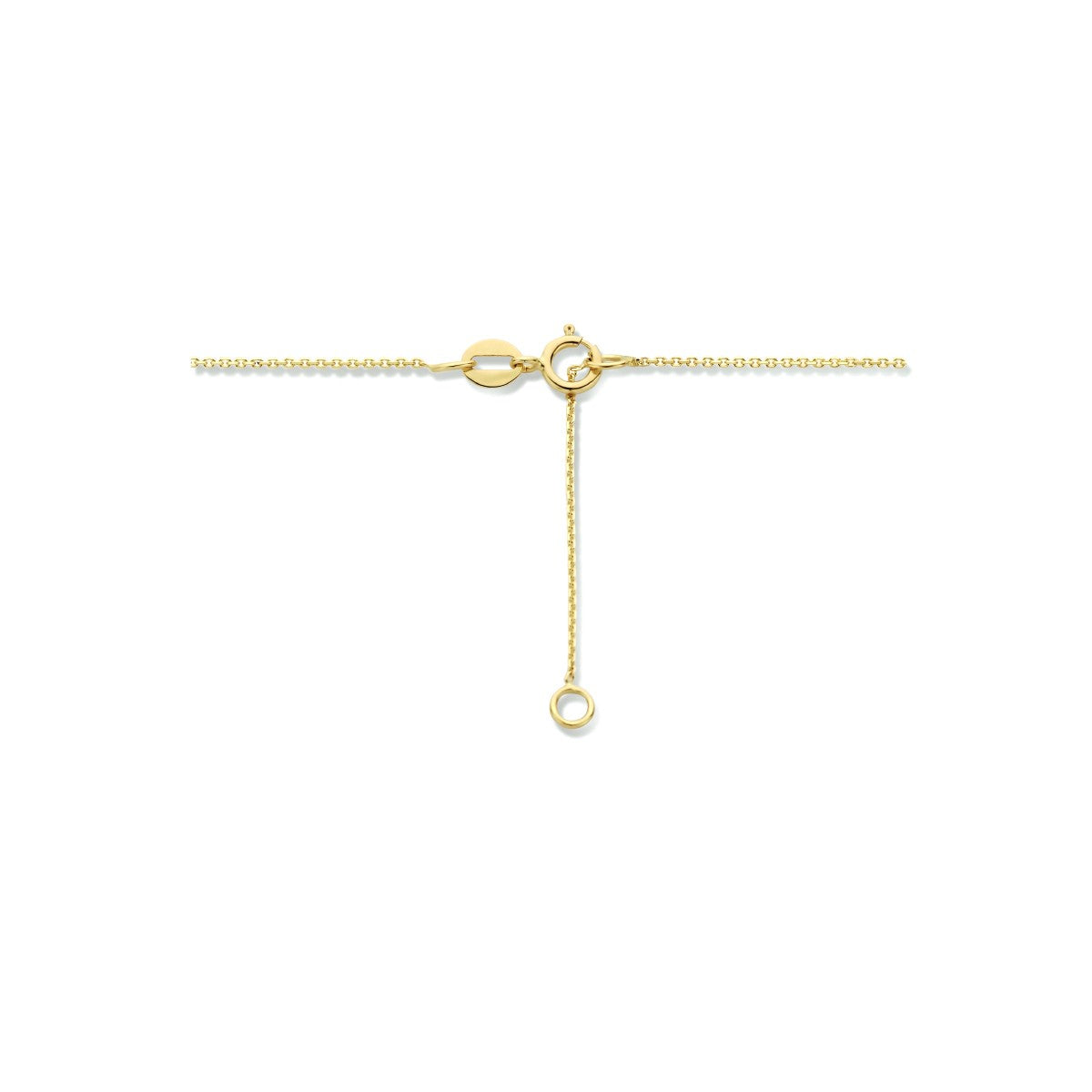 14K geelgoud collier rond zirkonia 42 - 45 cm 4023953 - PansiteNederland.nl