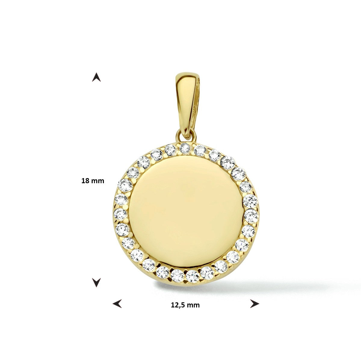 14K geelgoud graveerhanger rond zirkonia 4024031 - PansiteNederland.nl