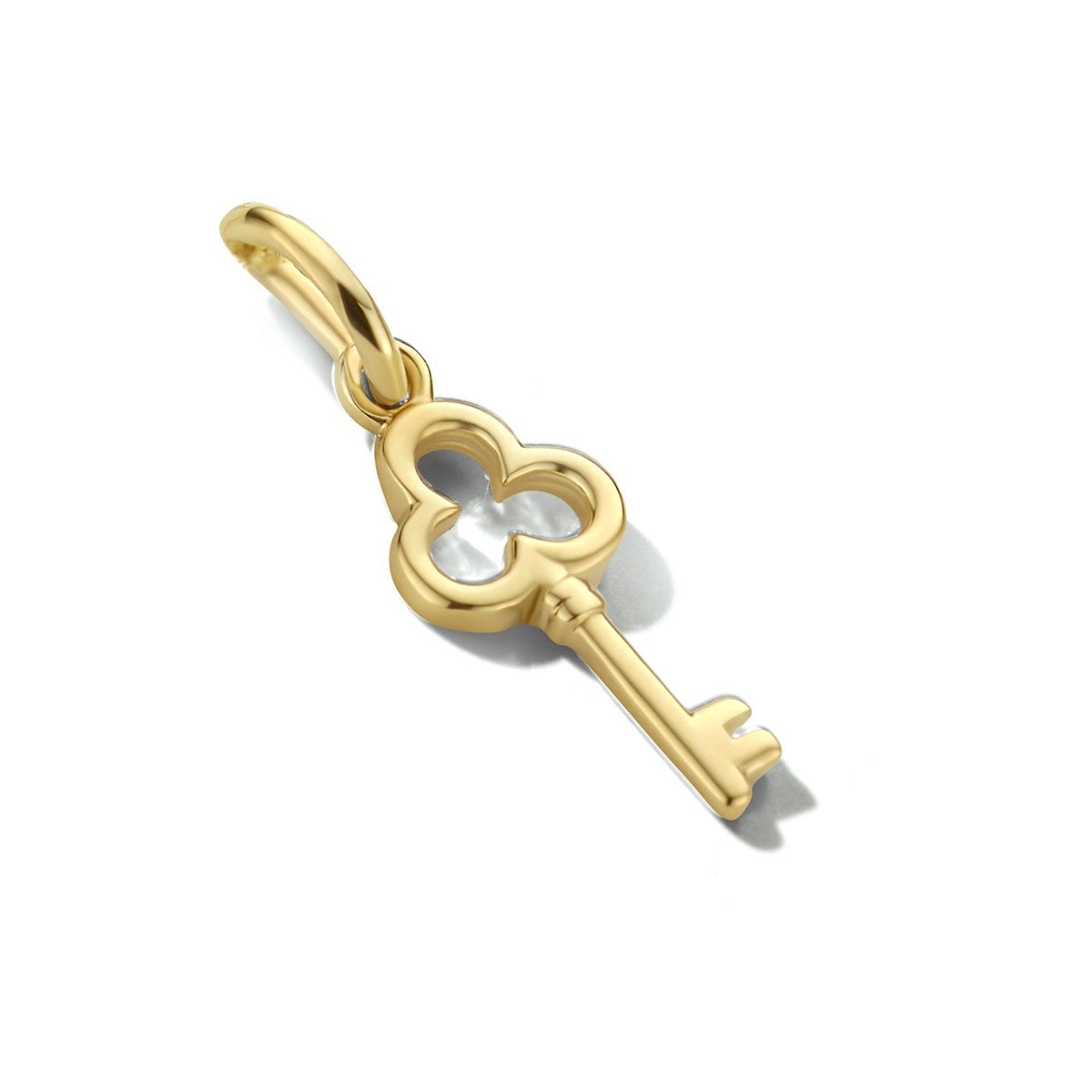 14K geelgoud hanger sleutel 4024059 - PansiteNederland.nl