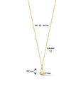 14K geelgoud collier slotje 40 - 42 - 44 cm 4024242 - PansiteNederland.nl