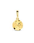14K geelgoud hanger rondje gediamanteerd 4024430 - PansiteNederland.nl