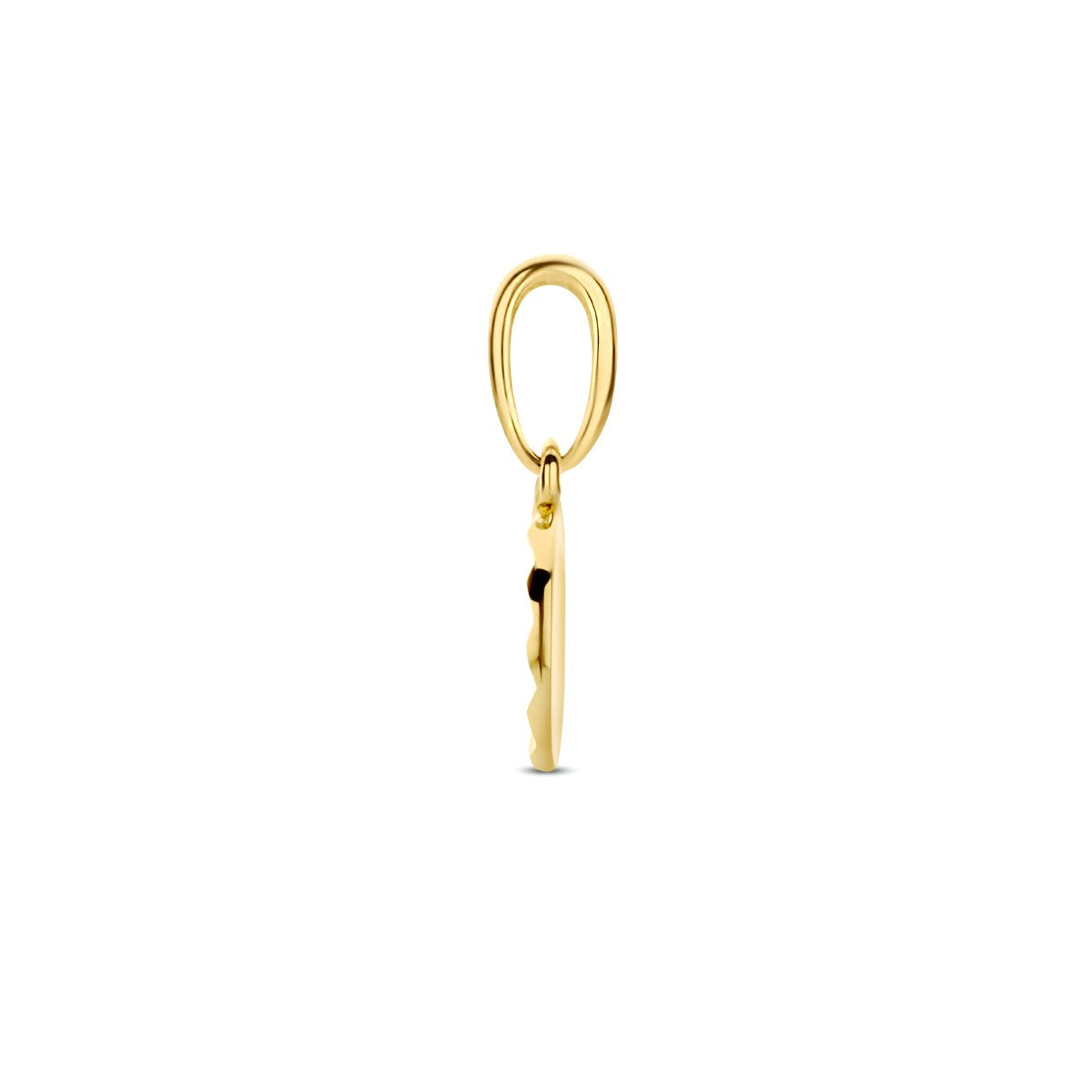 14K geelgoud hanger rondje gediamanteerd 4024430 - PansiteNederland.nl