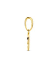14K geelgoud hanger rondje gediamanteerd 4024430 - PansiteNederland.nl