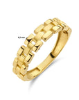 Geelgouden 14K ring schakelmotief poli/mat 4024475 - PansiteNederland.nl