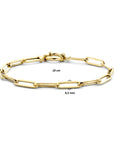 14K Geelgoud Armband Paperclip Vierkante Buis 4,5 Mm 19 Cm Met Groot Springslot 4024538 - PansiteNederland.nl