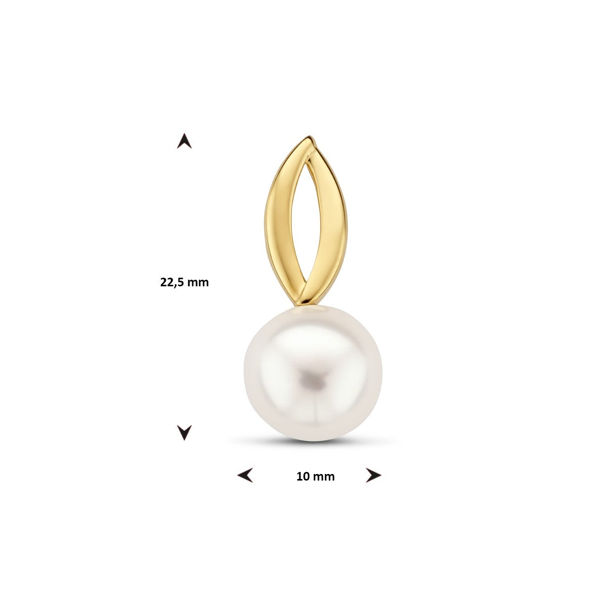 14K geelgoud hanger parel 4024705 - PansiteNederland.nl