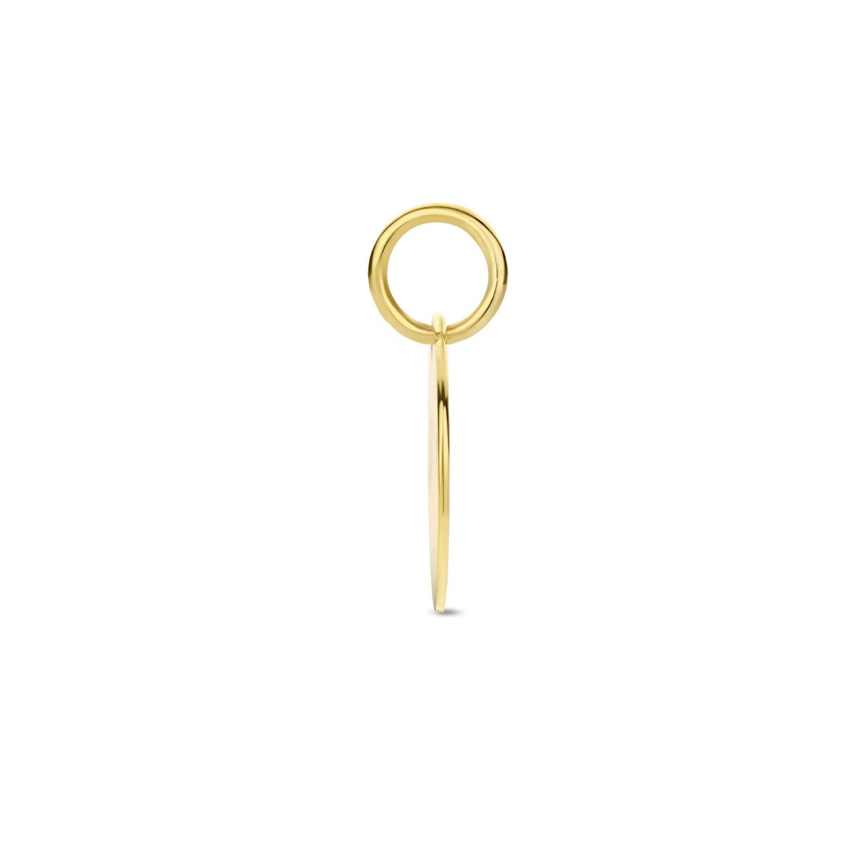 14K geelgoud graveerhanger rond 4024810 - PansiteNederland.nl