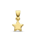 14K geelgoud hanger ster 4024863