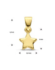 14K geelgoud hanger ster 4024863