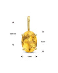 14K geelgoud hanger citrien 4025139 - PansiteNederland.nl