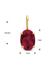 14K geelgoud hanger rhodoliet 4025142 - PansiteNederland.nl
