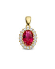 14K geelgoud hanger rood en wit zirkonia halo 4025256 - PansiteNederland.nl