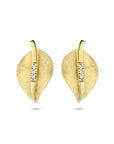 14K Geelgoud Oorknoppen Blad Gescratcht Diamant 0.02Ct (2X 0.01Ct) H Si 4025339 - PansiteNederland.nl