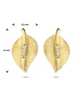 14K Geelgoud Oorknoppen Blad Gescratcht Diamant 0.02Ct (2X 0.01Ct) H Si 4025339 - PansiteNederland.nl