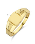 14K Geelgoud Graveerring 4025526 - PansiteNederland.nl