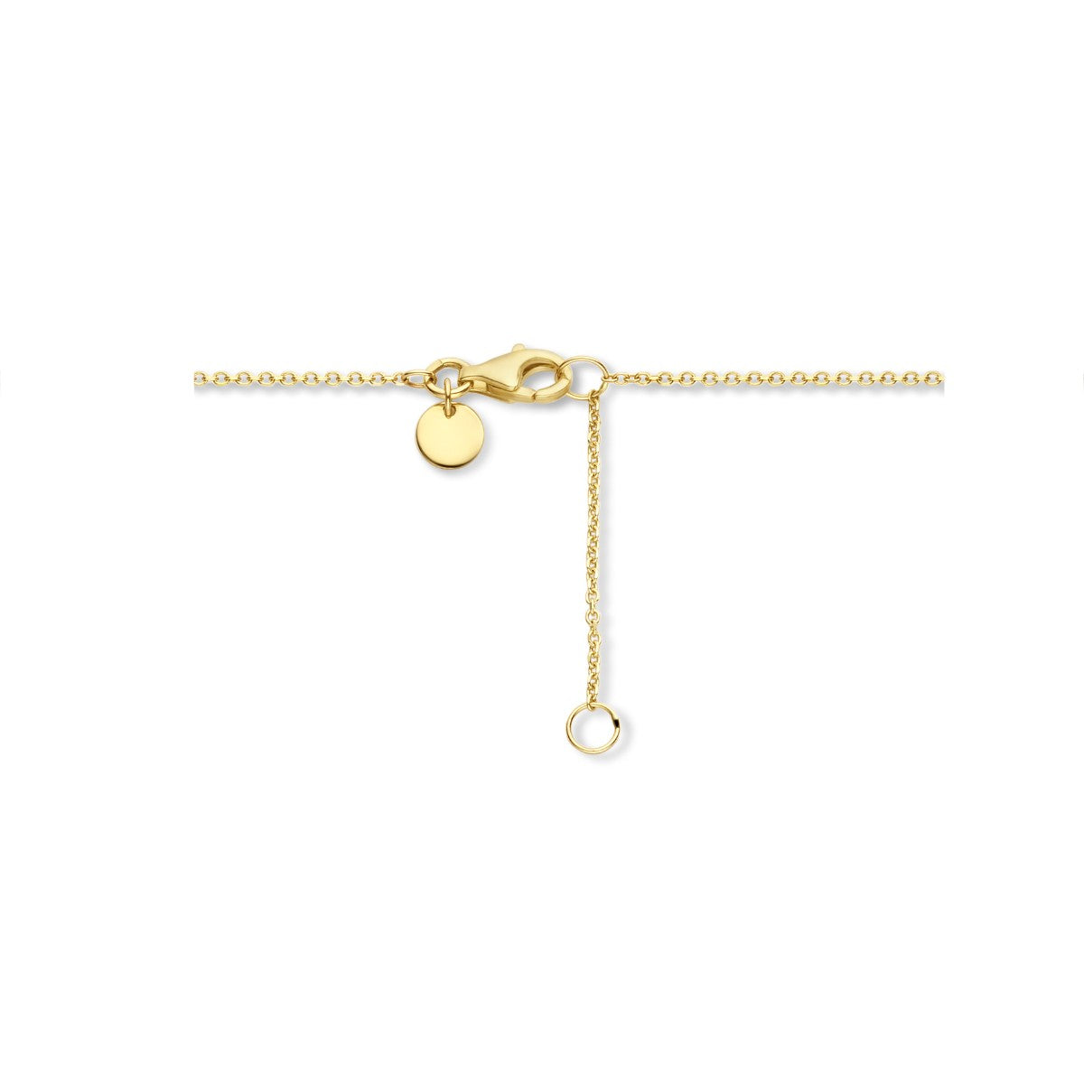 14K geelgoud collier bolvormige elementen 42 - 45 cm 4025781 - PansiteNederland.nl