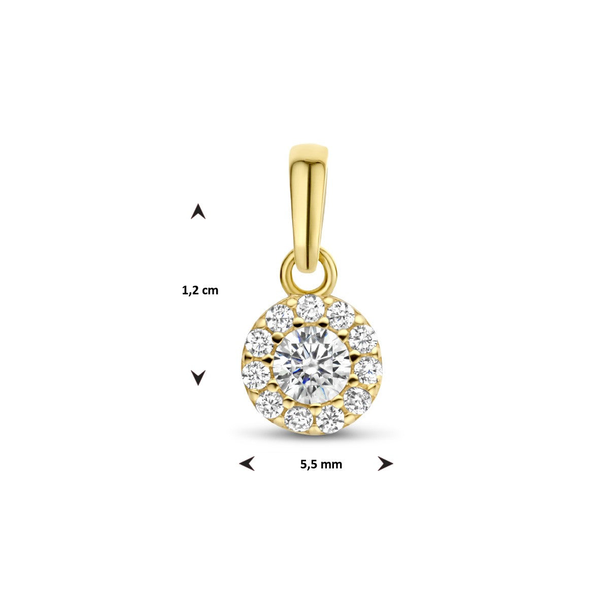 14K geelgoud hanger zirkonia halo 4025933 - PansiteNederland.nl