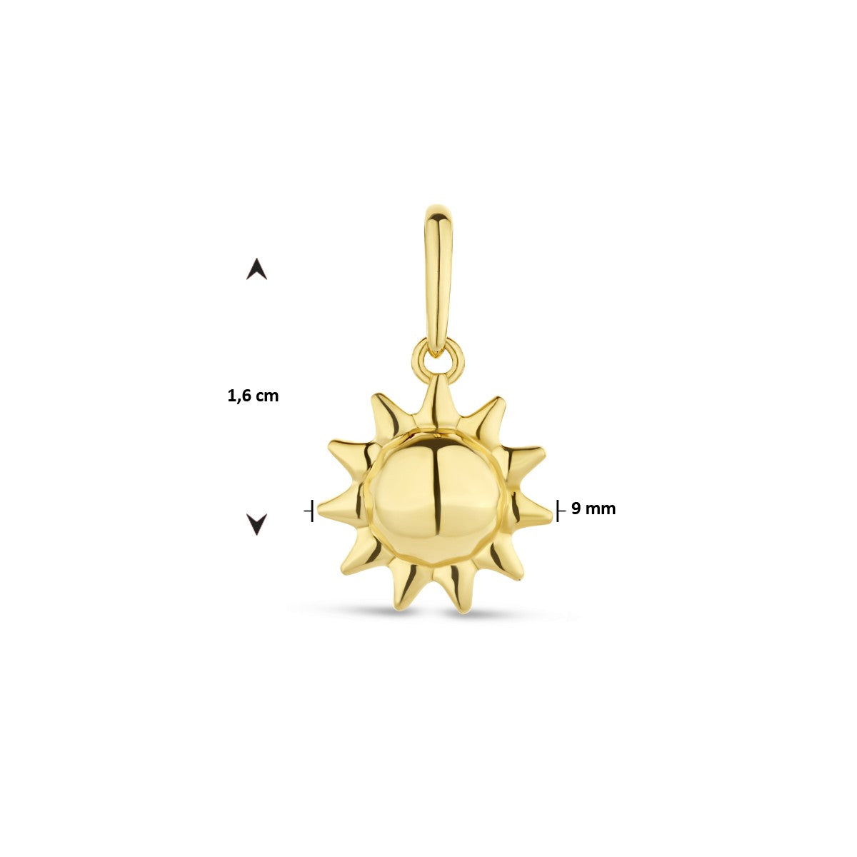 14K geelgoud hanger zon 4026056 - PansiteNederland.nl
