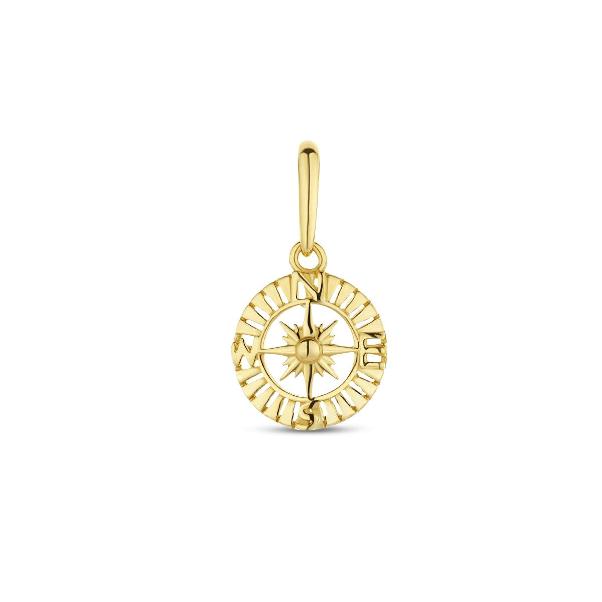 14K geelgoud hanger kompas 4026075 - PansiteNederland.nl