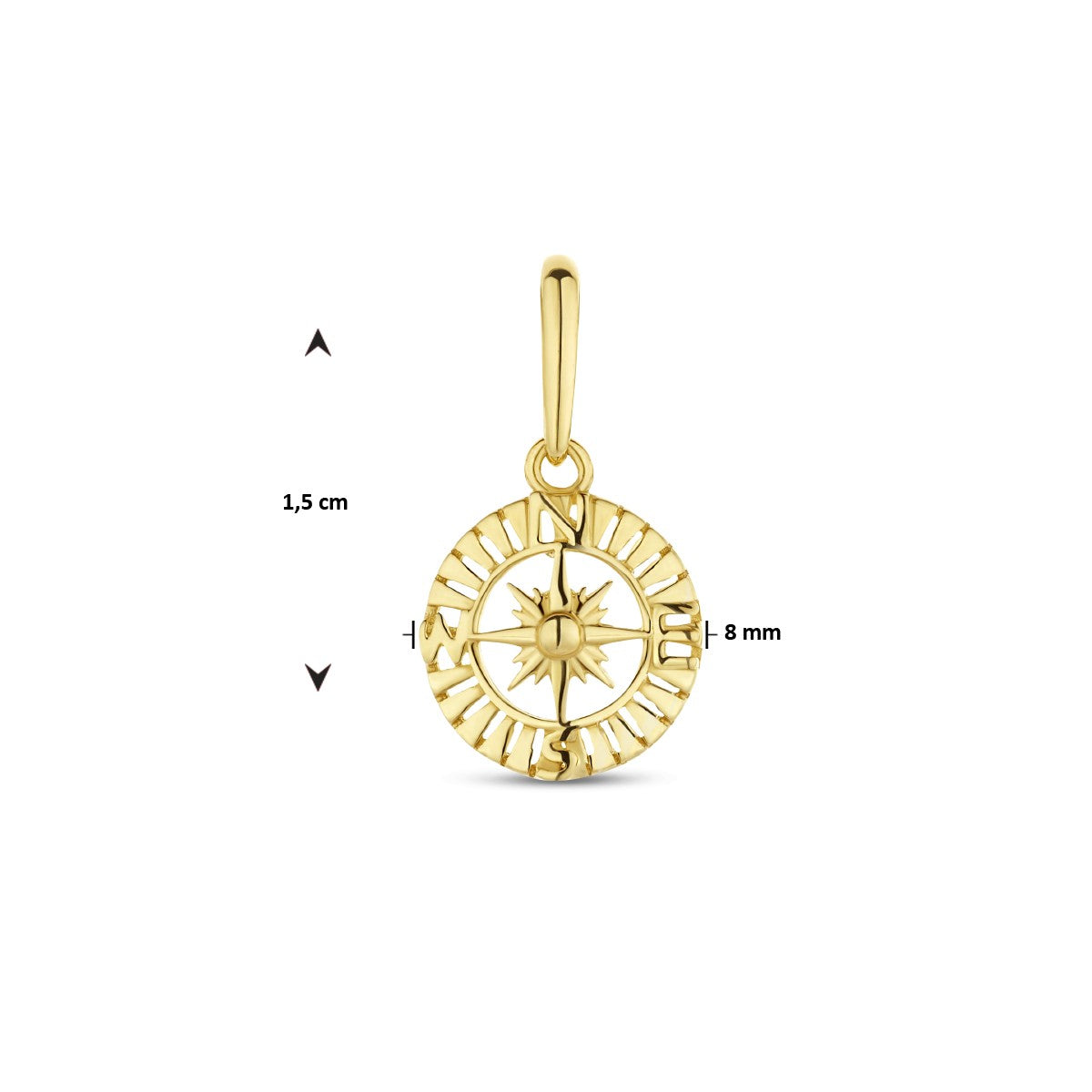 14K geelgoud hanger kompas 4026075 - PansiteNederland.nl