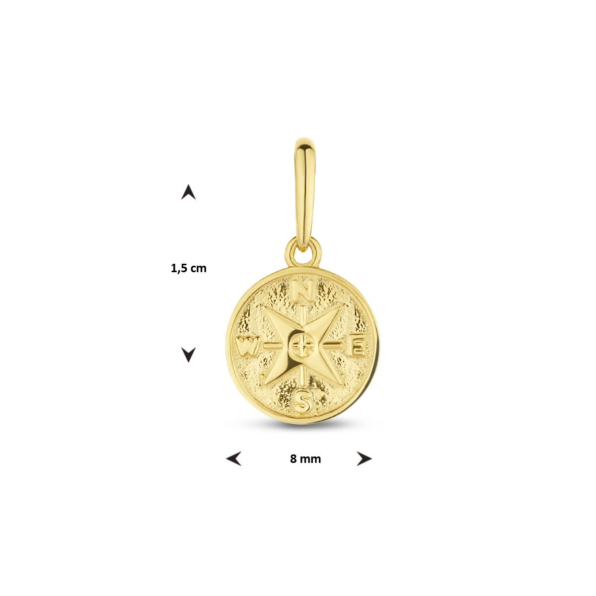 14K geelgoud hanger kompas 4026076 - PansiteNederland.nl