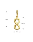 14K geelgoud hanger infinity 4026113