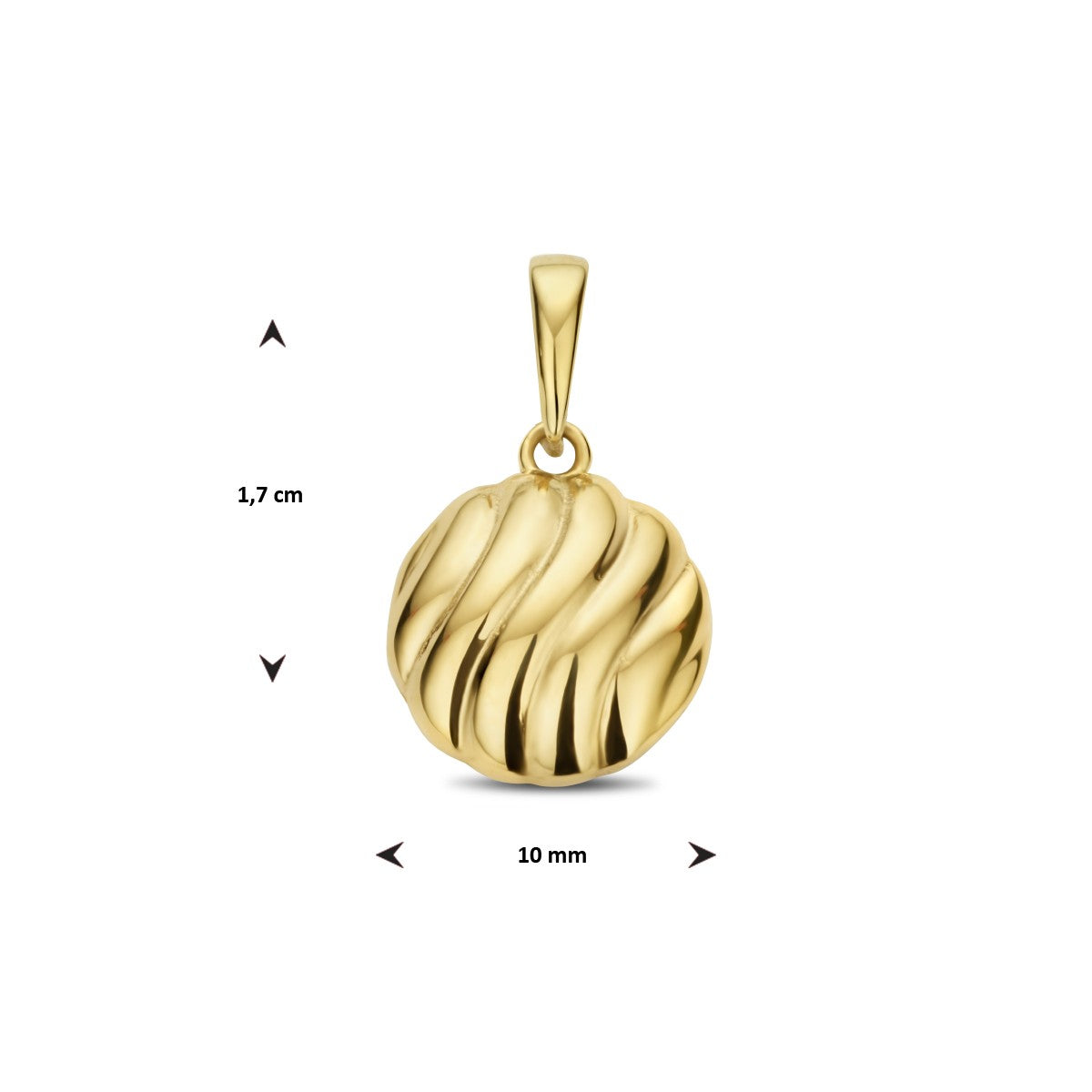 14K geelgoud hanger rondje 4026540 - PansiteNederland.nl