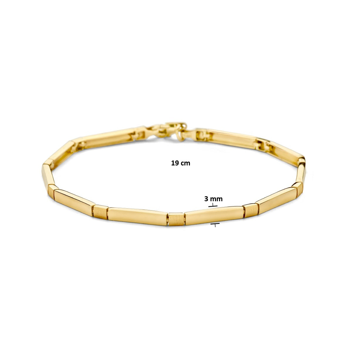 14K Geelgoud Armband Choker 3,0 Mm 19 Cm Poli/Mat 4026645