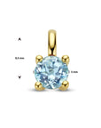 14K geelgoud hanger blauw topaas 4026717 - PansiteNederland.nl