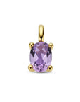 14K geelgoud hanger amethist 4026751 - PansiteNederland.nl