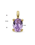 14K geelgoud hanger amethist 4026751 - PansiteNederland.nl