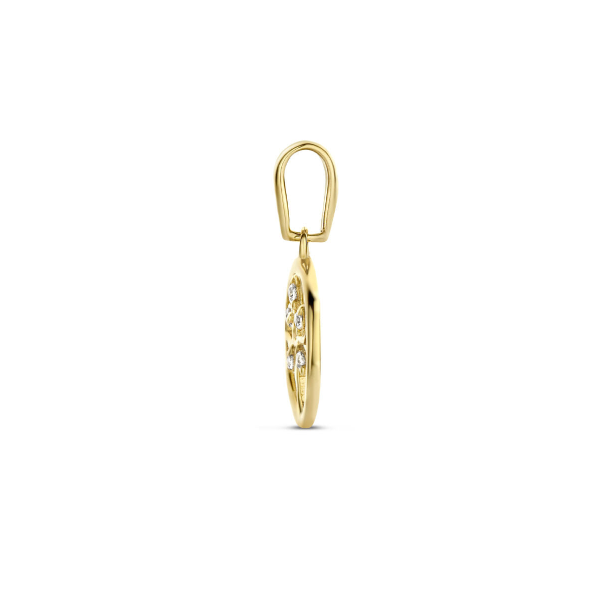 14K geelgoud hanger levensboom zirkonia 4026806 - PansiteNederland.nl